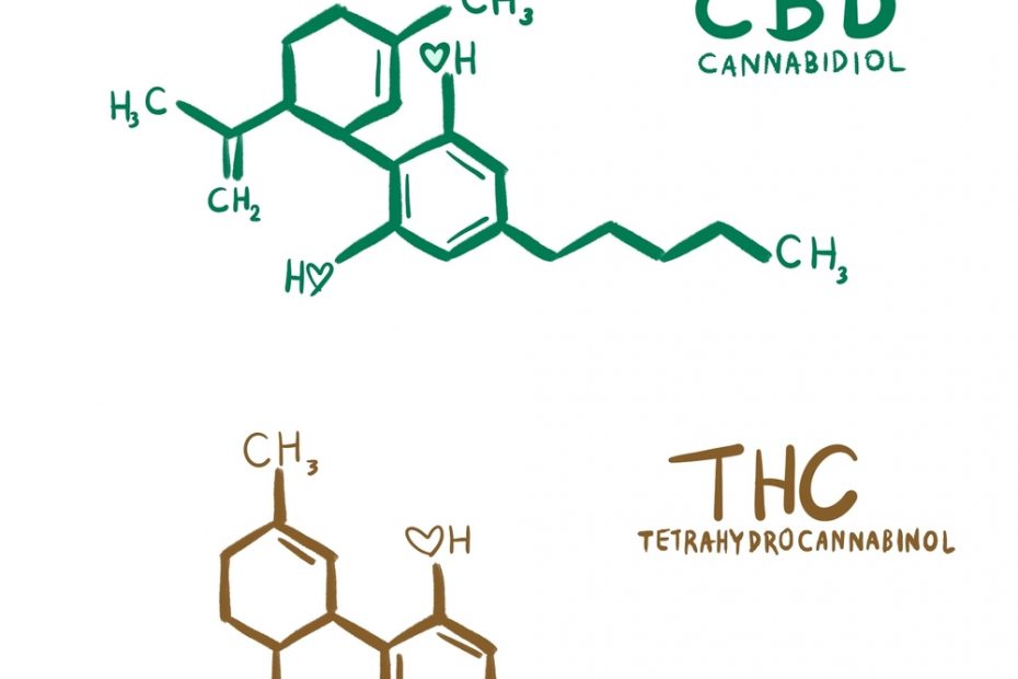 CBD and THC chemical representing cbd shopify