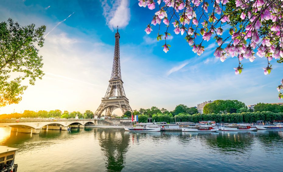 A view of the river Seine with boats, a cherry blossom tree, and the Eiffel Tower in France.