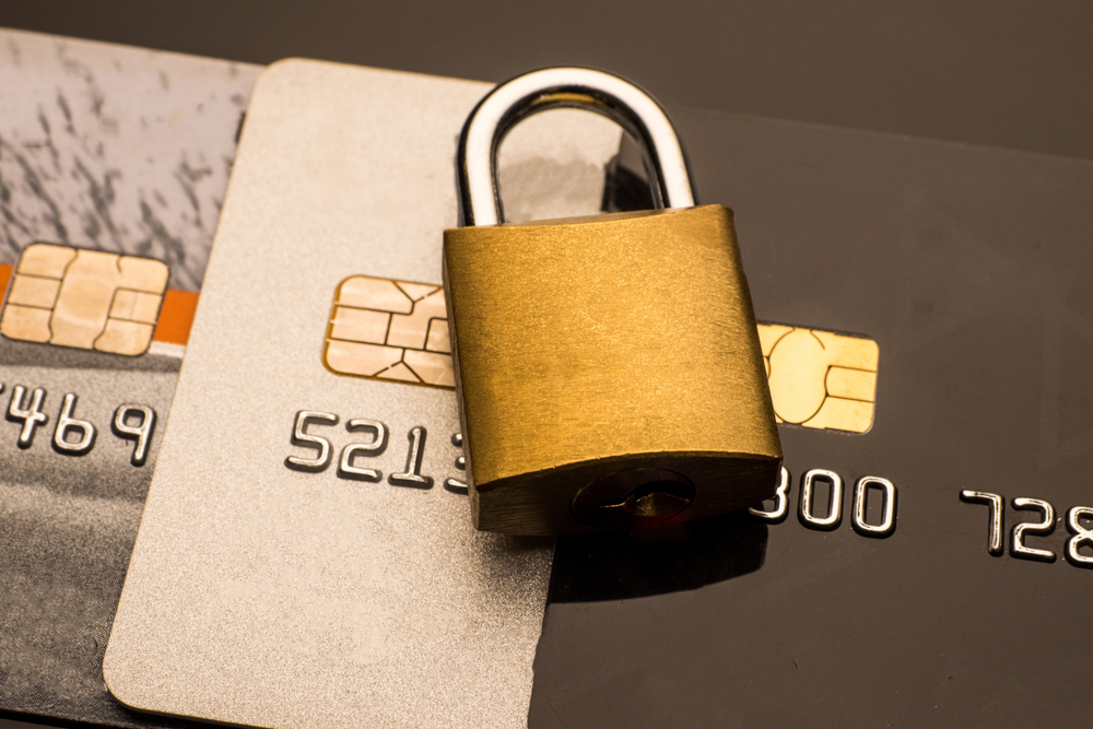 Prevent Money Loss with Our Card Fraud Detection Services
