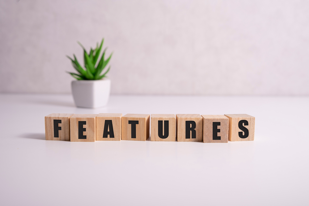 Wood blocks spelling out the word features with a plant in a white pot behind it.