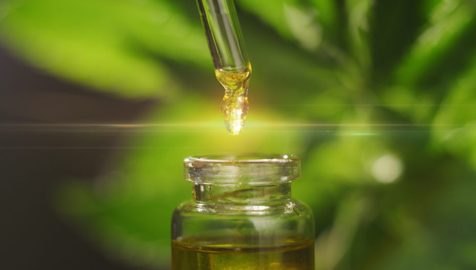 A droplet of CBD oil is put into a glass container.